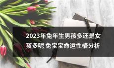 2023年兔年生男孩还是女孩更多？揭秘兔宝宝命运与性格的综合分析