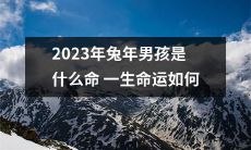 探寻2023年兔年出生男孩的命运，挖掘藏在生肖属相中的吉凶福祸与人生道路上的可能轨迹！