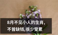 8月肖运亨通，小人无缘，财源广进，平步青云，轻松自在