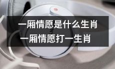 换个角度看，能否从猜谜到探究性格，一厢情愿能暴露哪些生肖的特质？