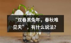 难得一见的“双春黑兔年”与“春秋天”的珍贵之处