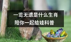 一起了解一览无遗的十二生肖，选择最适合宝宝的陪伴者进行科普！