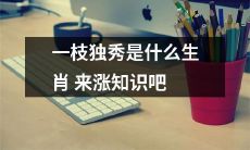 了解"一枝独秀"是哪个生肖，拓展你的知识面吧