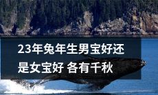 在兔年降生的宝宝，男孩和女孩各有千秋：探讨23年间生男生女的区别