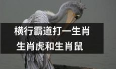 横行霸道的生肖虎和生肖鼠对决：尽显屠龙勇气和责任担当