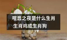 在喧嚣之夜中，是哪个生肖将会占据主导地位—— 会是生肖鸡，还是生肖狗呢？