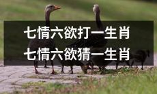 猜一下哪个生肖代表了七情六欲: 猜一生肖,挑战七情六欲测验!