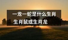 究竟是什么生肖，一龙一蛇的身份到底是生肖鼠还是生肖龙？