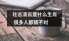 大胆猜测：壮志凌云背后藏着一个让很多人猜错的神秘生肖