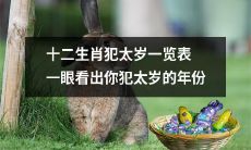 一目了然:详解十二生肖太岁年份,轻松辨别你的犯太岁之年