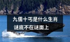什么是九儒十丐生肖谜底,这个谜题的真相并不在谜面上