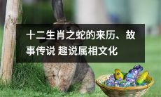 探秘几千年前的神话故事——详解蛇作为十二生肖的历史渊源,讲述有趣传说,并阐述蛇属相文化的魅力与意义