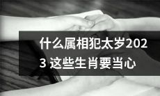 2023年哪些属相会遭遇太岁冲击并需注意预防的生肖列表