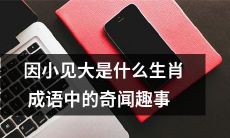 探究因小见大生肖成语中的奇闻趣事，揭秘其中蕴含的文化内涵和历史渊源