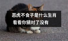 你知道吗?据说不少人都误解了这个生肖,恶虎不食子,你了解它到底是什么生肖吗?