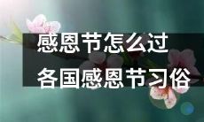 探寻全球感恩节习俗：如何度过感恩节的这个节日？