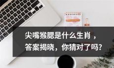 你猜对了吗？尖嘴猴腮是哪个生肖？让我们揭晓答案！