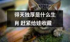 哪些生肖享有得天独厚的好运气，为孩子留存这些幸运星座！