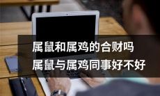 属鼠与属鸡的合作能否带来良好的财务效益？在职场中，属鼠和属鸡的共事关系是否具备良好的合作性？