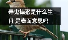 这个生肖的表面意思是“弄鬼掉猴”吗？它到底代表什么？