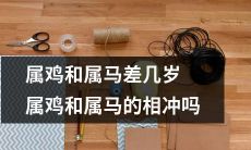 两个生肖属鸡和属马的年龄差距对它们的相冲影响是什么？