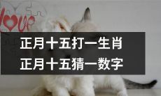 在农历正月十五，猜测一个数值并匹配相应的生肖：挑战自己的智力和运气！