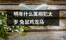 2022年哪些生肖将遭受太岁之厄：兔、鼠、鸡、龙、马等属相会迎来祸星？