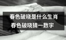 猜测生肖：春天的色彩在晓光中逐渐显现，能否猜到正确数字？