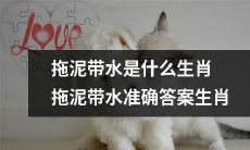 经过较为深入的探究，可以详细获知拖泥带水所对应的生肖何种，确保准确无误