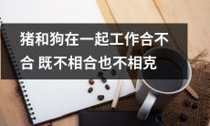 猪和狗共同劳动的结合与对立之间既非融合互相适应，也非互为对立不相容