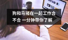 狗、马和猪的合作能否实现共赢——一分钟带你认识三种动物在工作中的协同表现