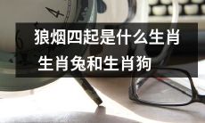 狼烟四起！揭秘生肖兔和生肖狗的遭遇与应对之策！