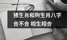 猪生肖和狗生肖的八字合婚是否具备相生相合的特点，决定婚姻是否美满幸福？