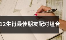 探讨12生肖之间最佳朋友配对组合，找到最合适的人陪你度过人生！
