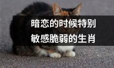 生肖中在暗恋中特别敏感脆弱的那些动物们