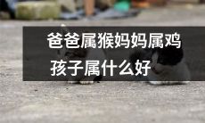 如果爸爸是猴子，妈妈是鸡，那么孩子属于哪个生肖呢，哪个生肖可以为之大吉大利，幸福美满？