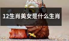 什么样的生肖才能成为12生肖美女？