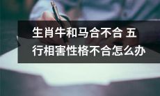 生肖牛和生肖马的五行相害性格不合，怎么能改善关系？