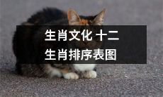生肖文化十二生肖的排序汇总表格与图表展示