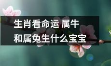 属牛和属兔的生肖，探究其命运与生育，究竟会迎来哪些宝贵的宝宝？