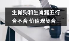 生肖狗与生肖猪的五行属性是否符合个人价值观的契合度分析
