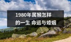 1980年出生的属猴人：揭秘一生命运与婚姻情况