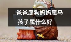 根据中国十二生肖，爸爸属狗，妈妈属马，究竟应该如何确定孩子的生肖并找到最佳匹配呢？