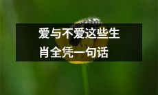 生肖爱情真相揭秘：命中注定？还是一句话决定一切？