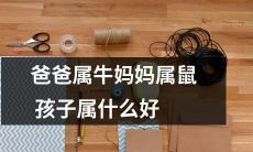 如果父亲属于牛座，母亲属于鼠座，那么他们的孩子会是什么星座的呢？