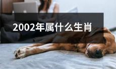 想知道2002年出生的你属于哪个生肖吗？快来看看吧！