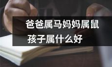 父为马、母是鼠，宝宝应该属于哪个生肖呢？