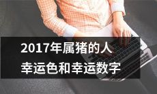 2017年出生于属猪的个体的幸运色和幸运数字:一份完整指南