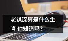 你知道哪个生肖被称为老谋深算吗？