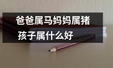 父马母猪孩子归属：根据家庭生肖配置，儿童可能属于哪个干支生肖，有哪些好的属性？